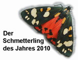 Zum Schmetterling des Jahres 2010